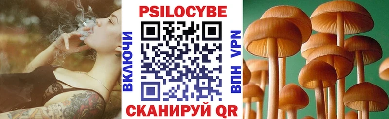 Галлюциногенные грибы Cubensis  Заполярный 
